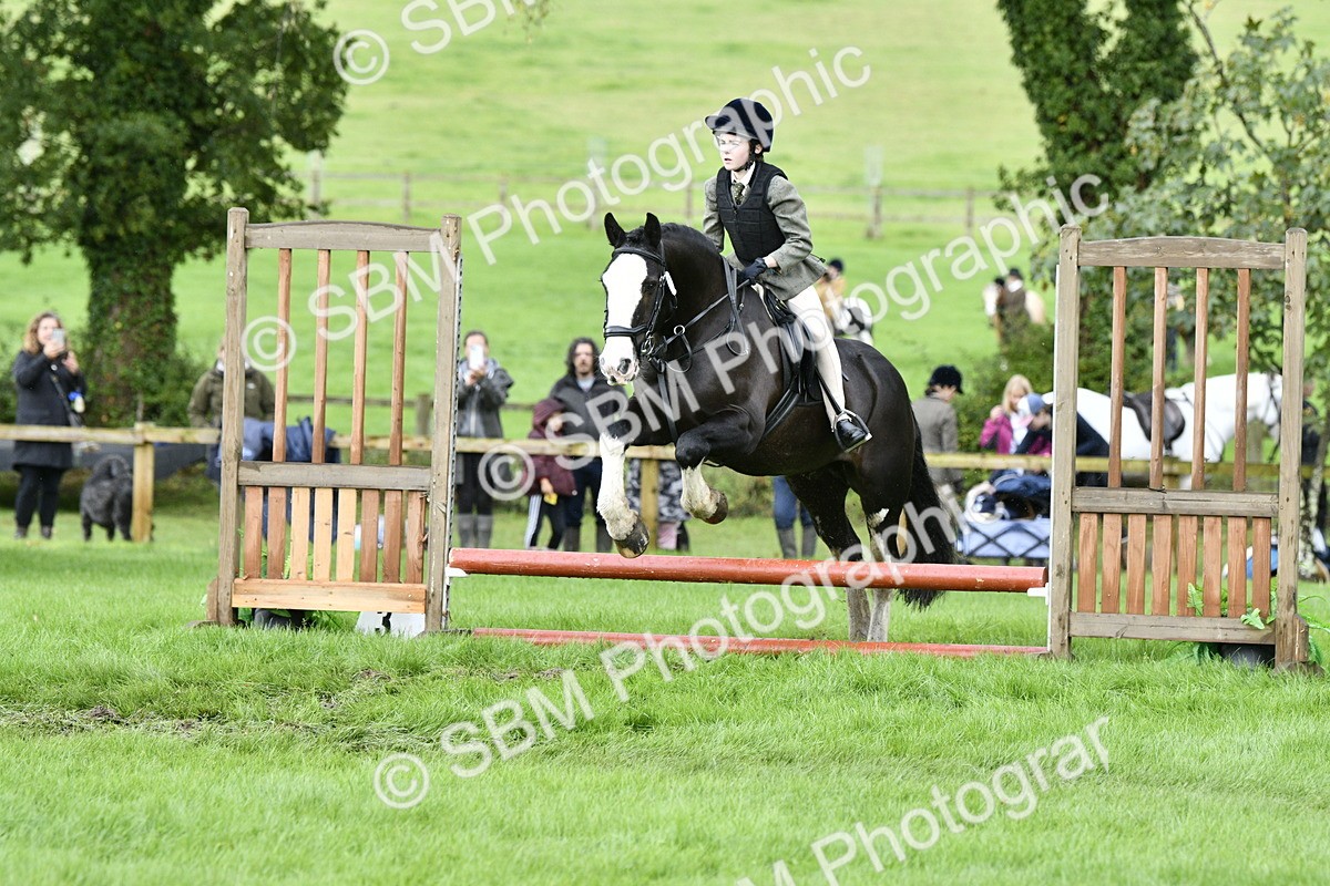 SBM_41490 - S32 - Mountain & Moorland Working Hunter Pony