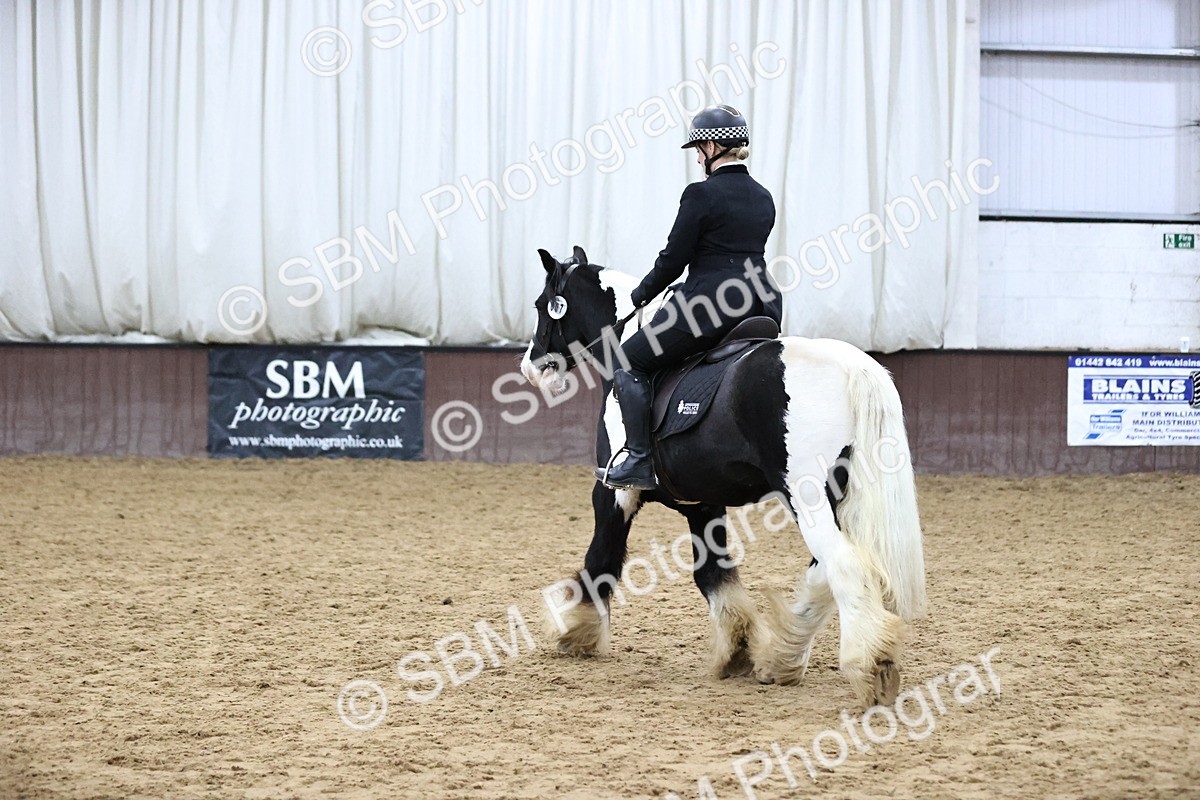 SBM_6345 - Class 45-42 - Ridden Irish Breeds-Ridden Cob