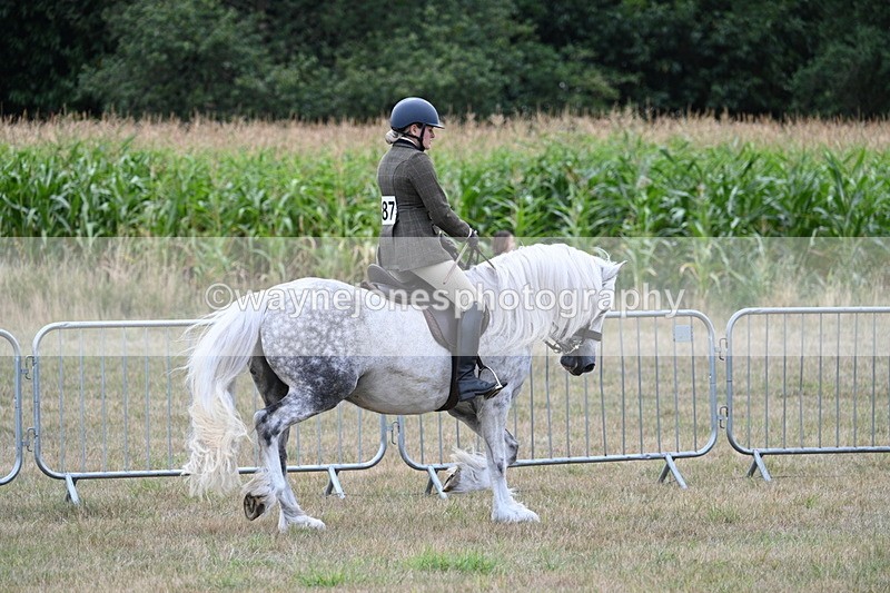 WJ7_4812 - Class 12 Ridden Cob