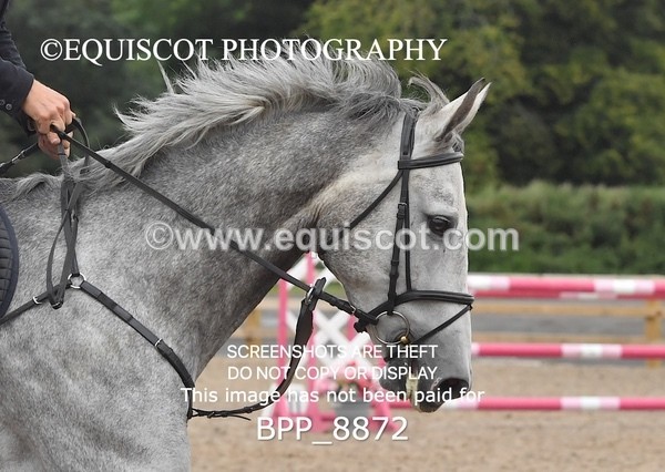 BPP_8872 - CLASS 6 Senior Newcomers/ 1.10m Open