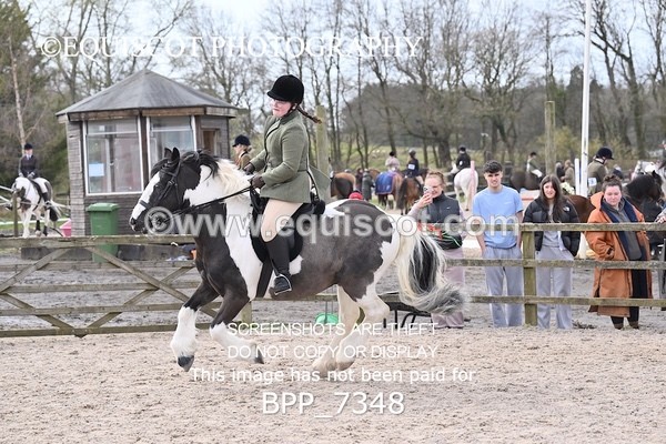 BPP_7348 - RING 1  (RIDDEN HORSES / IN HAND / VETERAN ETC)