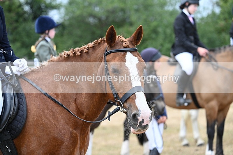 WJ7_1369 - Class 8 Ridden Veterans