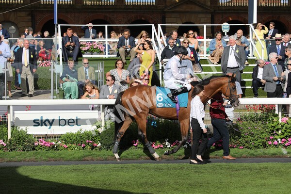 yr19082022r7-12 - Race 7 5.20pm Sky Bet Mile Stakes