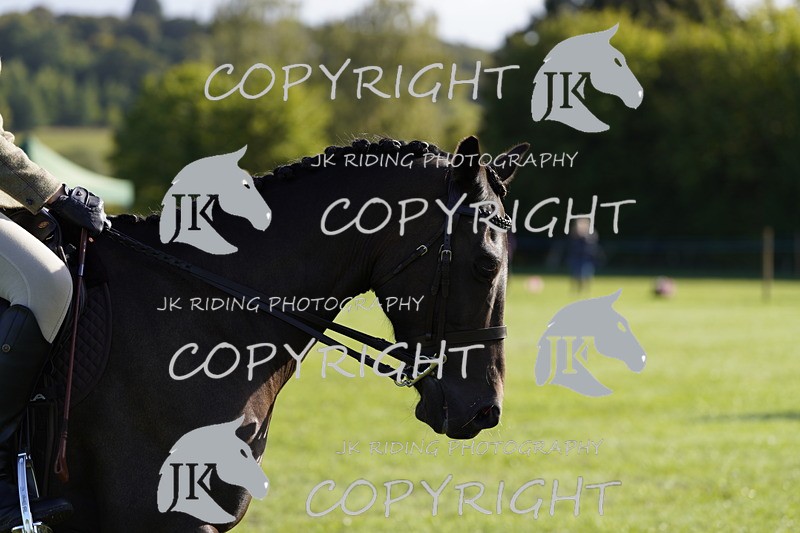 _DSC9424 - Class 8 & 17 Ridden Hunter & Ridden Hunter Pony