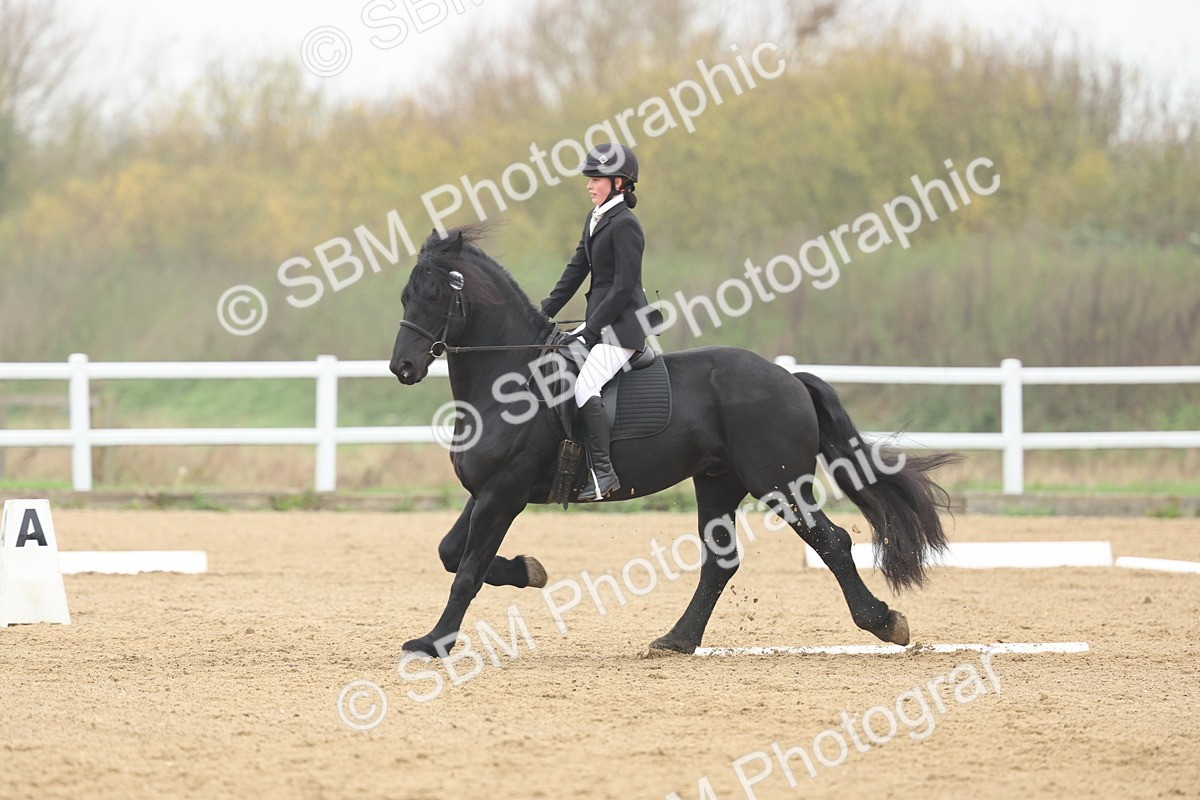 SBM_002550 - Class 5 - Novice 27