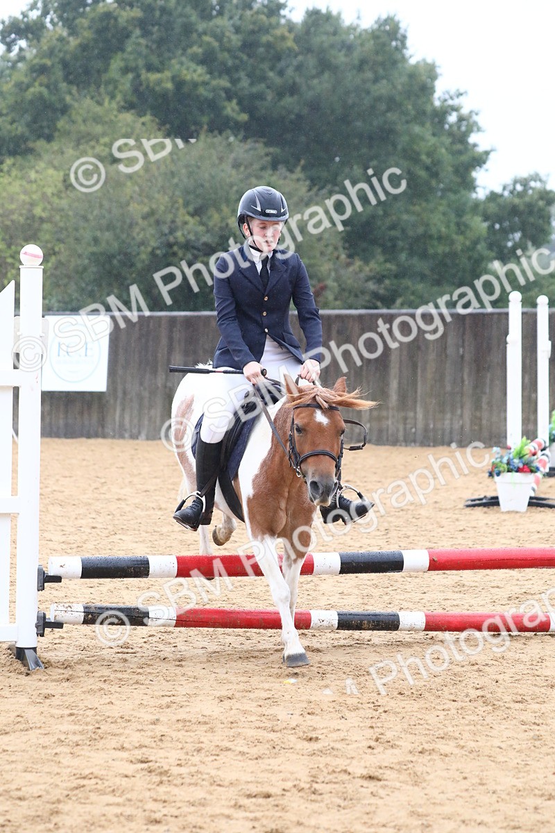 SBM_71781 - J4 - Mini Tour Junior Pony 45cm Championship