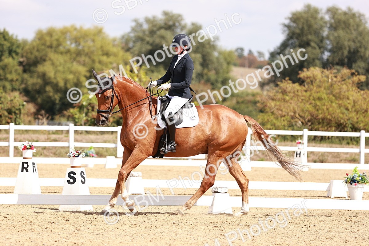 SBM_018477 - Class 17 - Novice 6