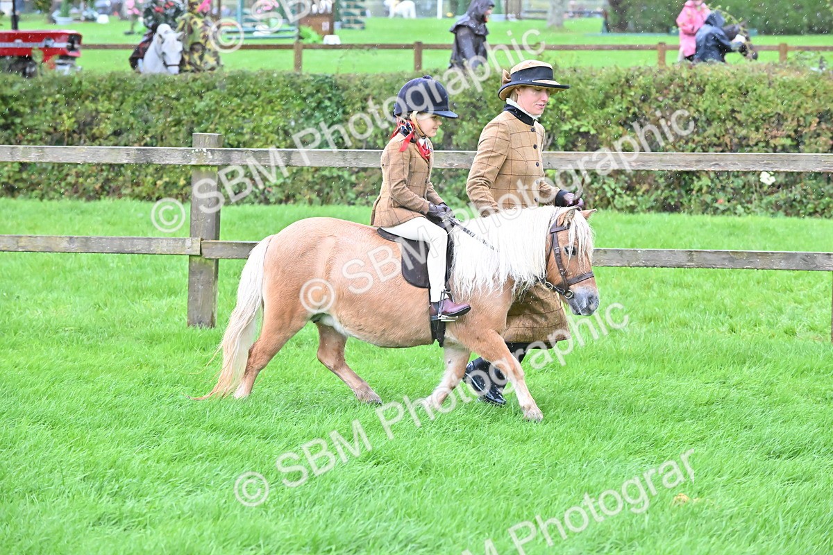 SBM_36490 - S18 - Novice & Newcomer Lead Rein Pony
