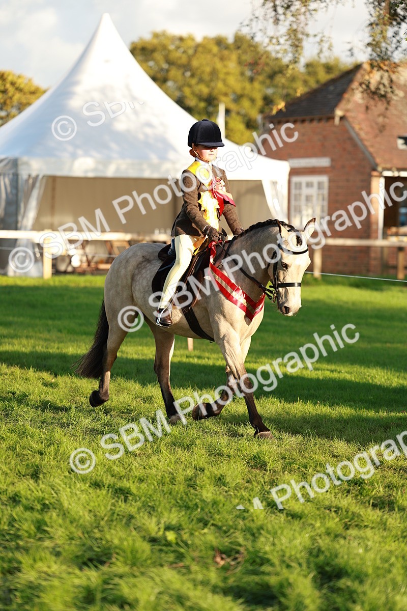 SBM_29342 - Novice & newcomer Supreme Championship