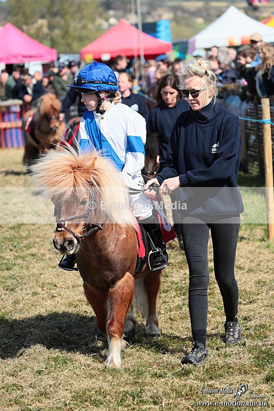 Shet 060426 95 - Shetland Pony Racing Paxford Races Easter Mon 06/04/26