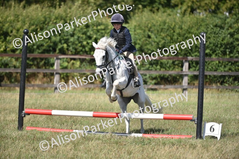 20260906-1722 - Class 9 - Absolute Novice Jumping 45cm