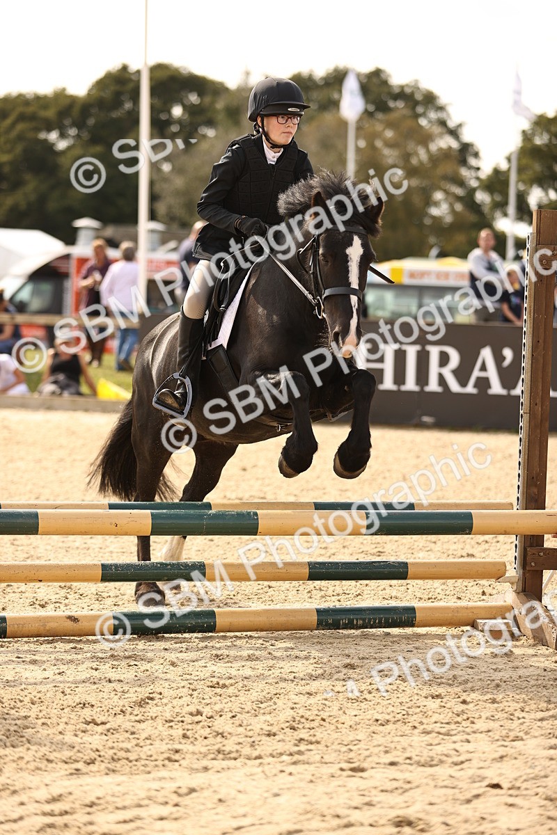 SBM_67062 - J13 - Junior Pony 60cm Championship