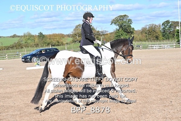 BPP_8878 - LONG ARENA