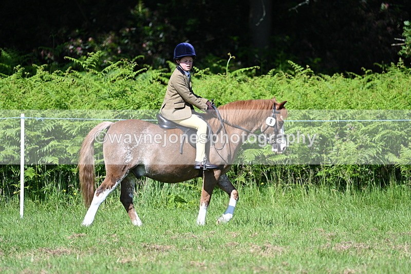 WJ7_0654 - Class 8 First Rally Pony