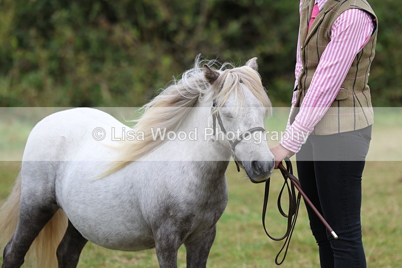 3E7A4486 - Class 15: Three Year Olds