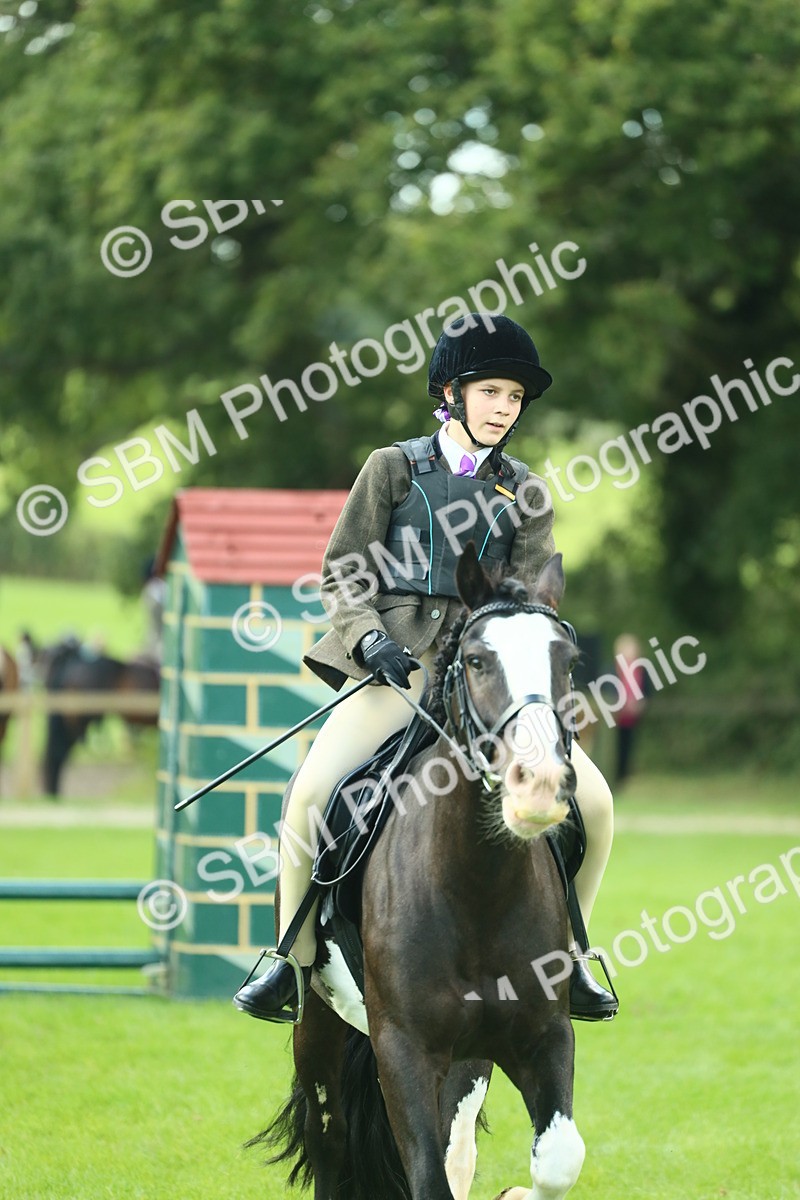 SBM_42030 - S29 - Novice & Newcomers Working Hunter Pony