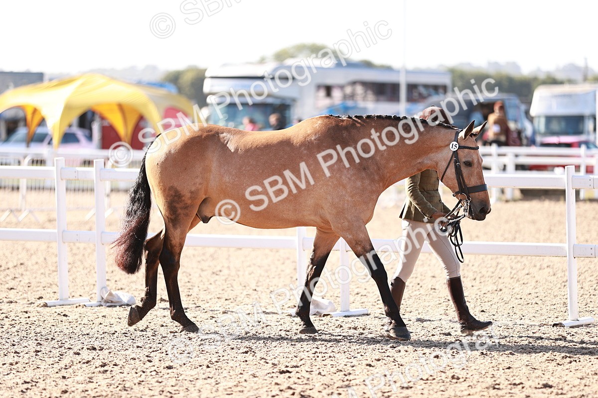 SBM_22053 - Class 703 - IH Coloured