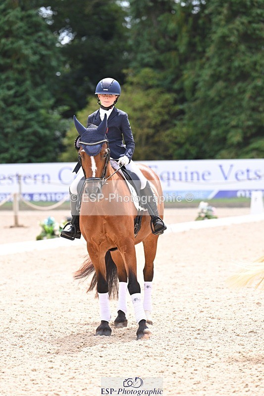 240809-131618-01030 - Preliminary Silver