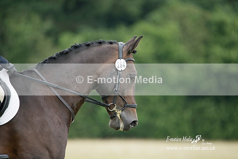 BVRC 030721 416 - Bourne Valley Riding Club Dressage 03/07/21
