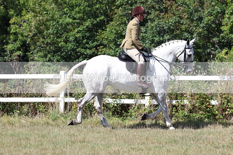 3E7A6360 - Working Hunter Championship