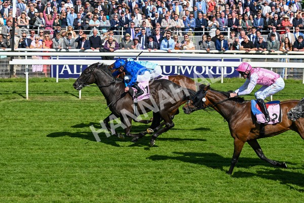 160525-Race 4-Rebels Romance-6728 - Race 4 3.45pm Boodles Yorkshire Cup Stakes