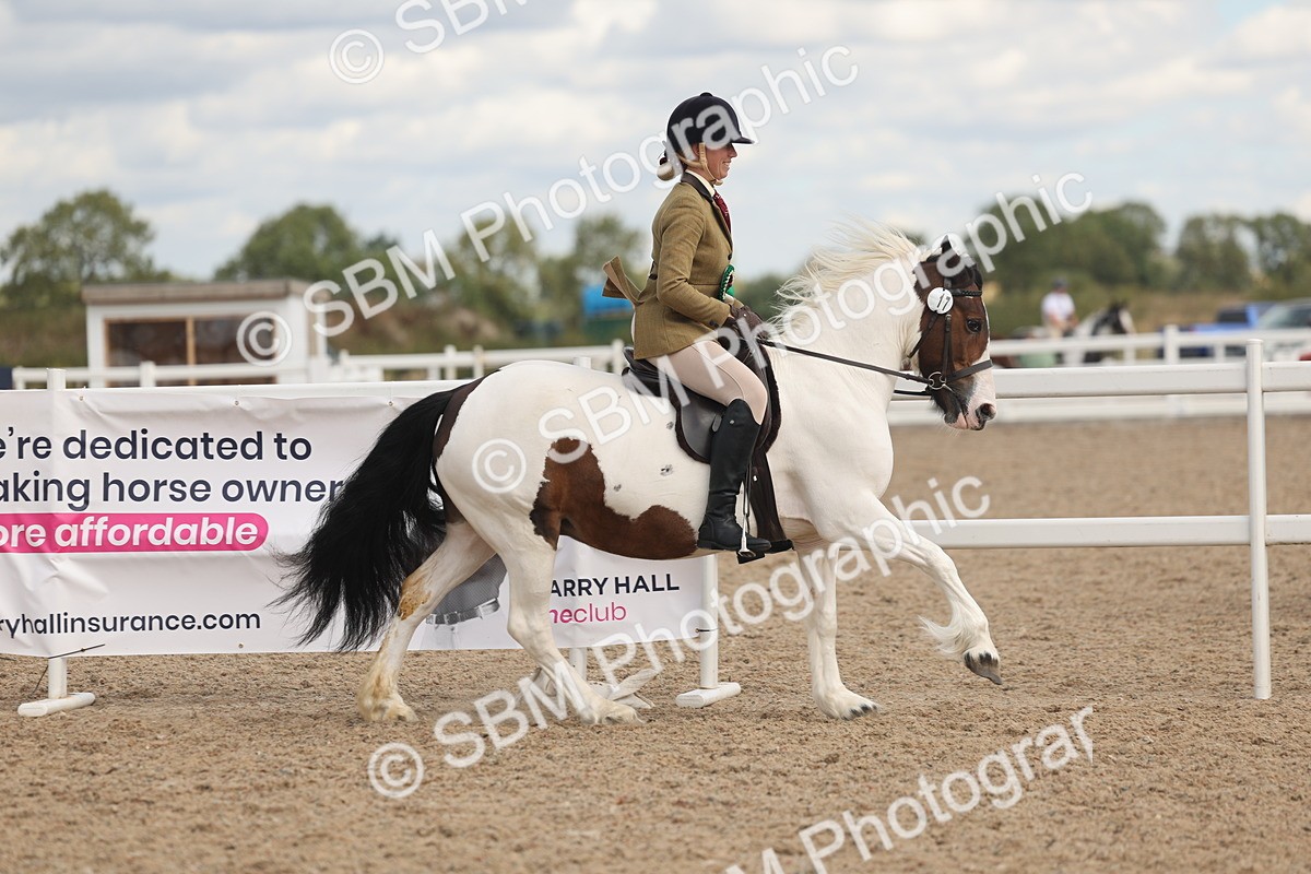 SBM_14711 - Class 307 - Ridden Coloured Pony