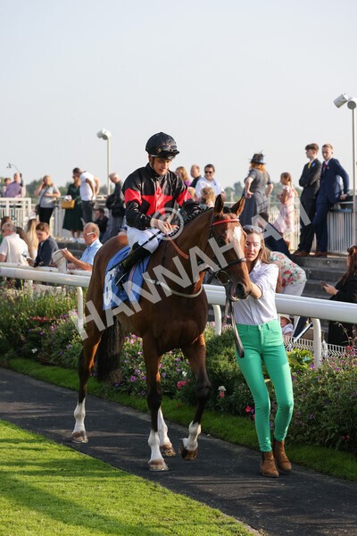 yr05092021r7-5 - Race 7 5.10pm Yorkshire Regiment Stakes