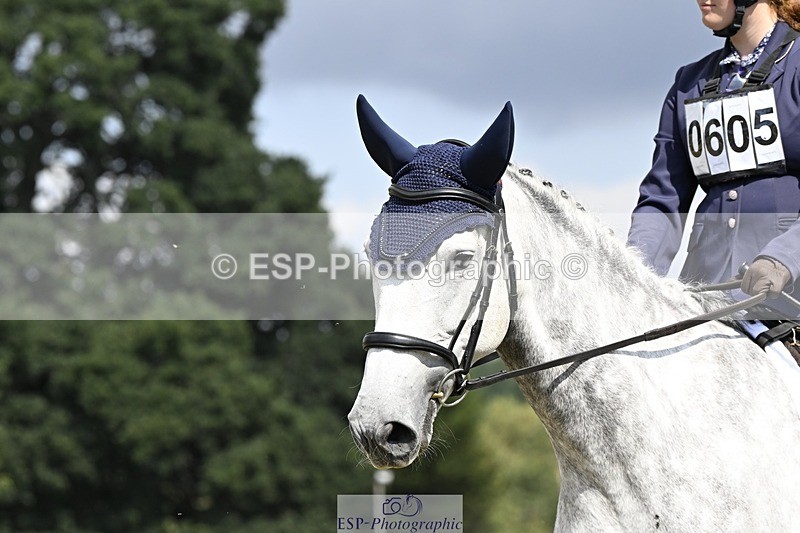 250822A-114453-22361 - DR 11.00 to 12.00