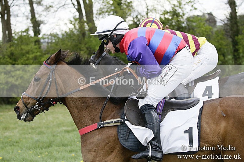 PtP 170417 458 - Old Berks Point-to-Point Lockinge 17/04/17