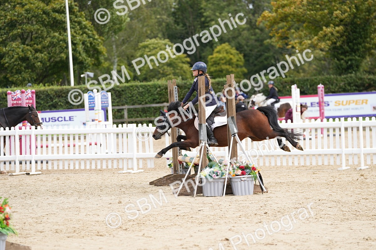 SBM_20781 - J49 - Open 50cm