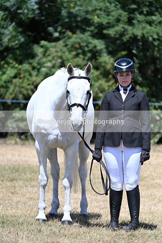 WJ7_2352 - Class 5a Most Handsome Gelding in hand (above 14.2hh)