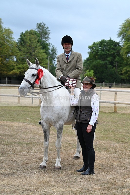 WJ7_1021 - Class 7 Riding Club Show Horse