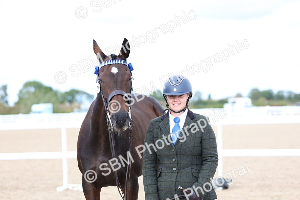 SBM_15275 - Class 313 - IH Retired Racehorse