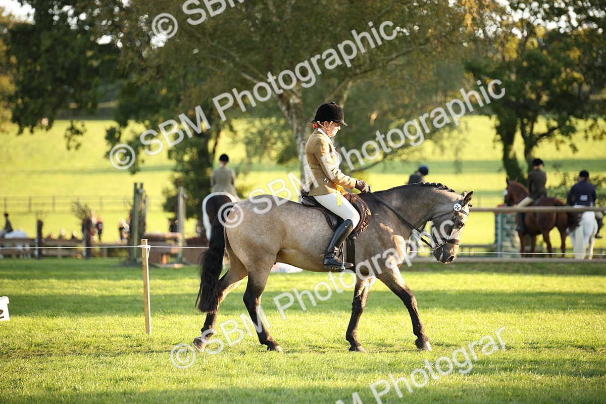 SBM_57041 - Veteran Supreme Championship