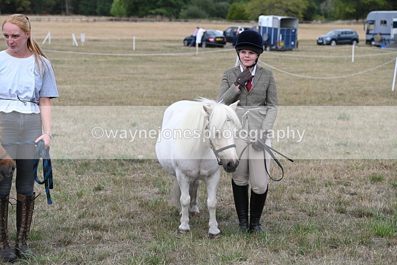 WJ6_7109 - Class 21 Shetland & Mini Horses