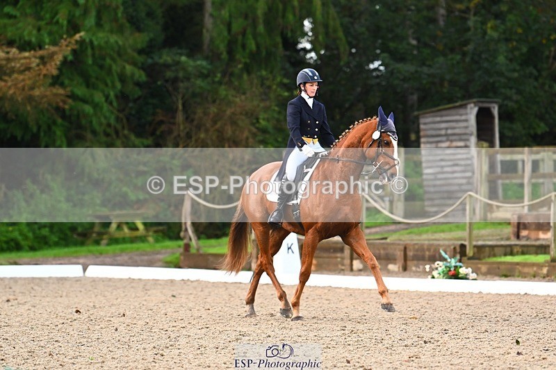 231021-090239-12744 - 322-BALLYBOLGER.LIONMAN-Sarah.Perry-DR