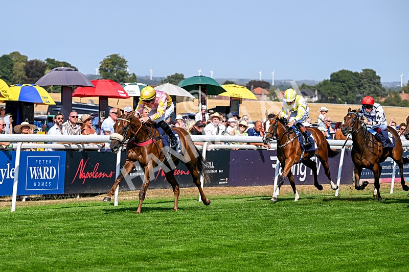 130826-Race 3-State Of Gold-8768 - Race 3 15.15pm Hornsea Ladies At The Races Nursery Handicap