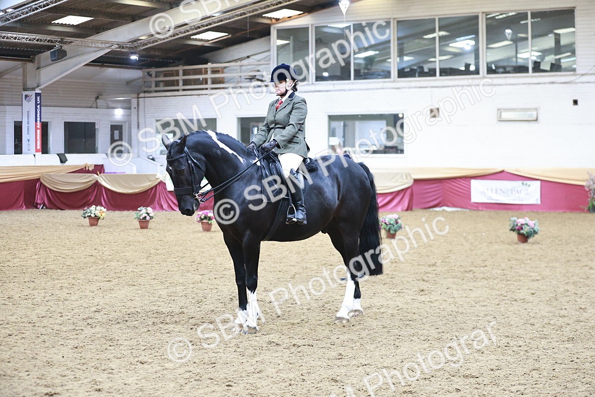 SBM_08968 - Class 12R - Regional Ridden Pre-Vet