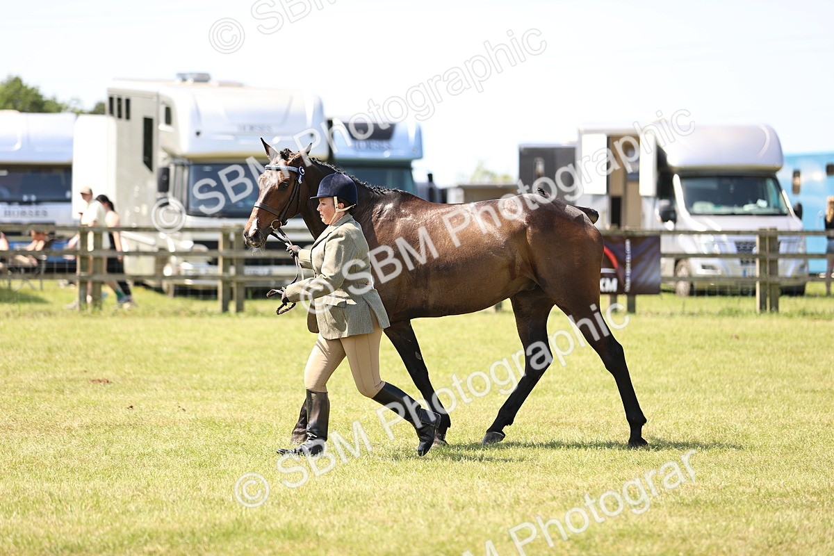 SBM_14957 - Class 78 - LIHS BSHA Open Racehorse & Show Horse