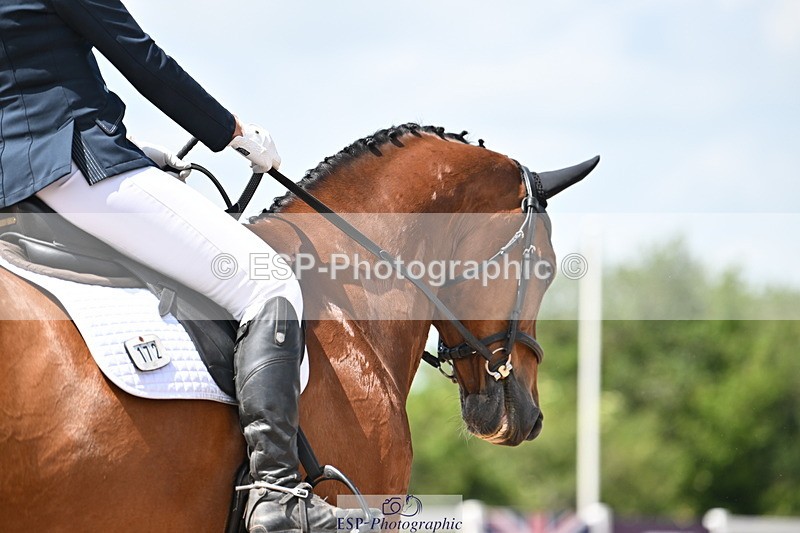 240621A-141407-03877 - Cls 11 BD Medium 73