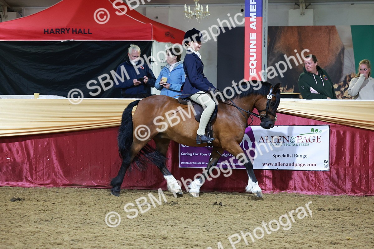 SBM_21281 - Class S - Style & Performance Champ