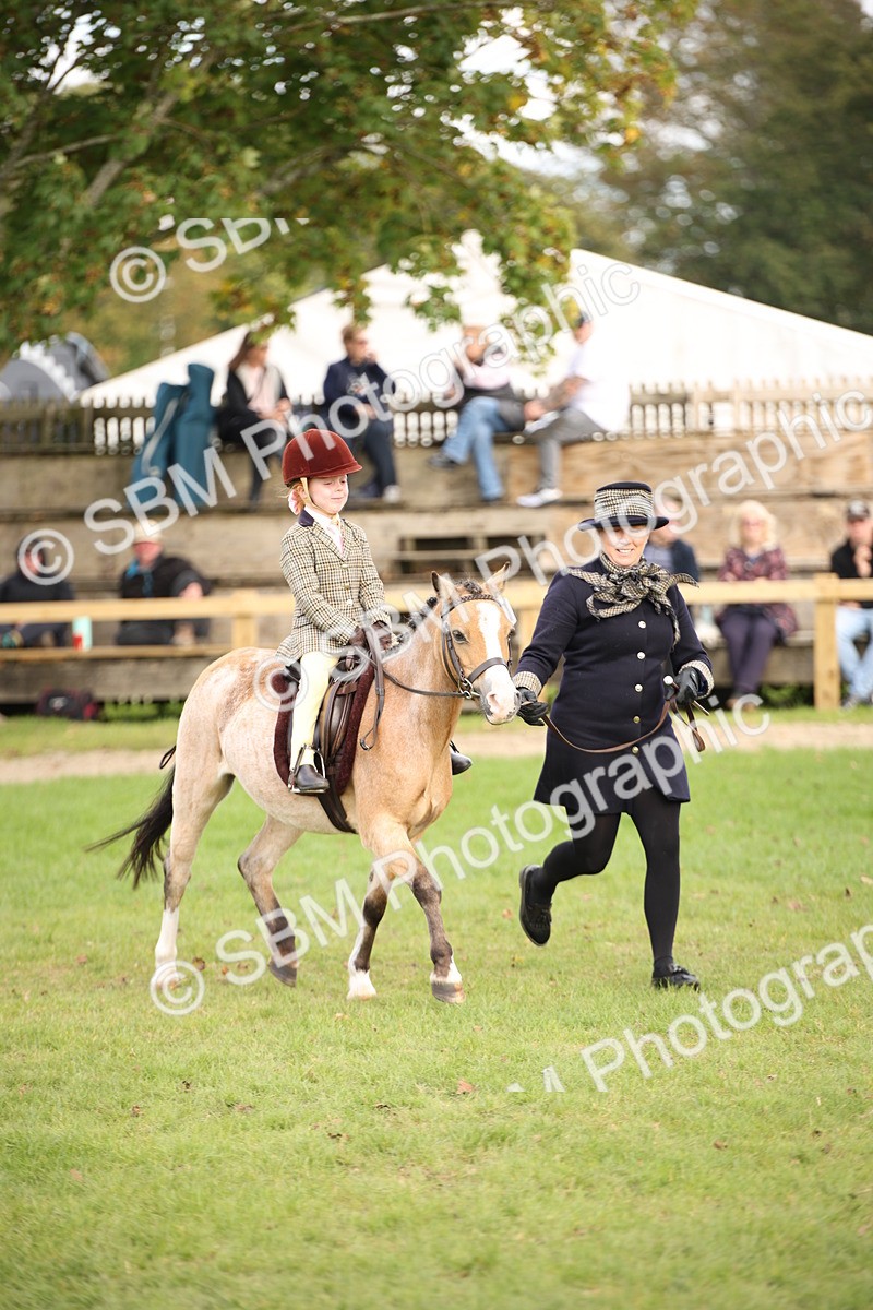 SBM_50019 - S26 - Young Veteran - Ridden