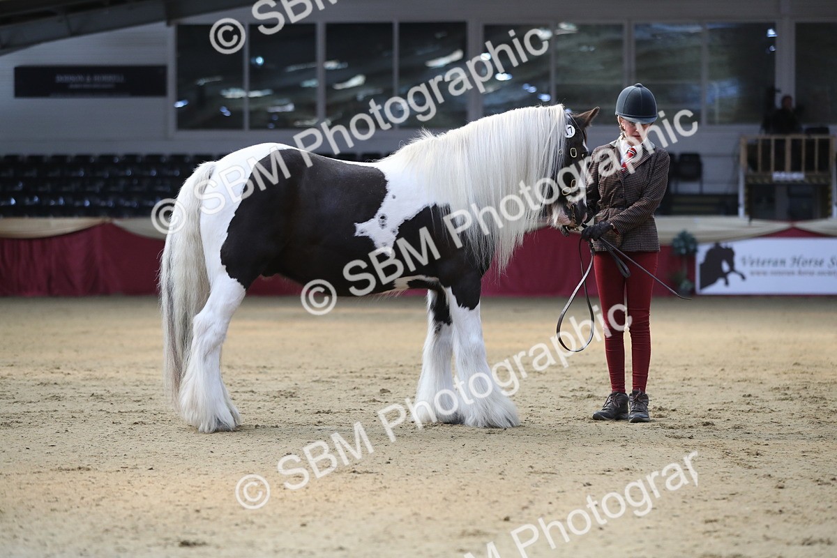 SBM_01321 - Class 3a Area IH Pre Vet