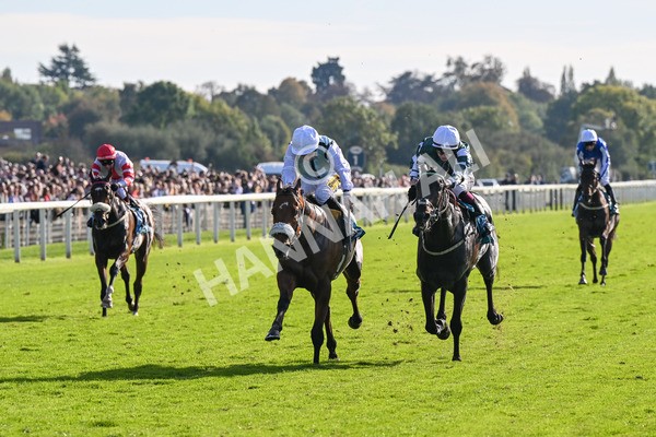 111025-Race 3-Laazm-8580 - Race 3 Coral 'Daily Reward Shaker' For Free Nursery Handicap at York