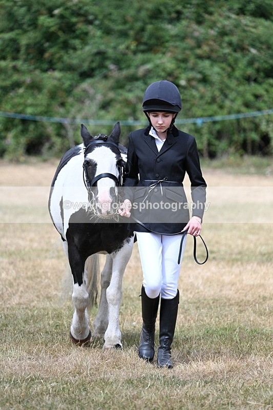 WJ7_1699 - Class 4 Prettiest Mare up to 14.2hh in hand
