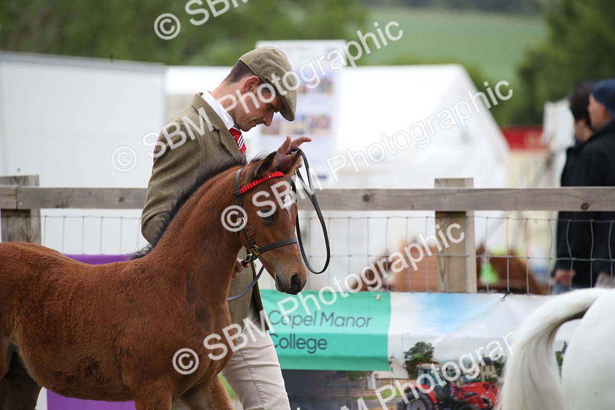 SBM_09725 - Ch 50 - Price Family Supreme In Hand