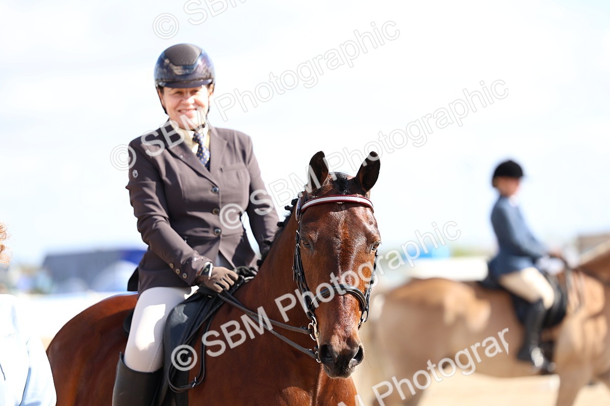SBM_10892 - Class 305 - Ridden Foreign Breeds - Pure Bred