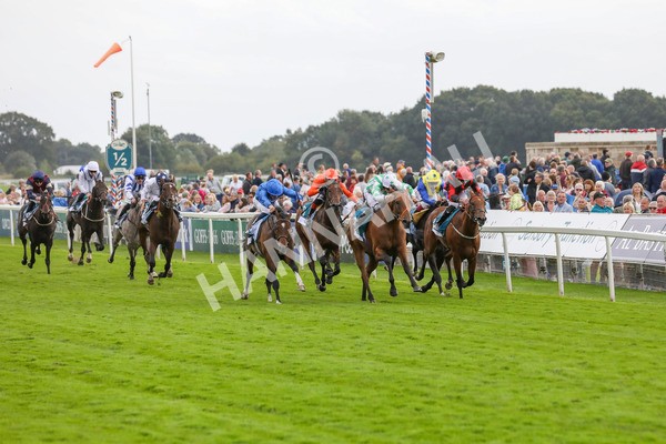 220824-Race 6-Angel Hunter-7851-2 - Race 6 4.45pm sensory-junction.co.uk Autism Awareness EBF Stallions Nursery Handicap