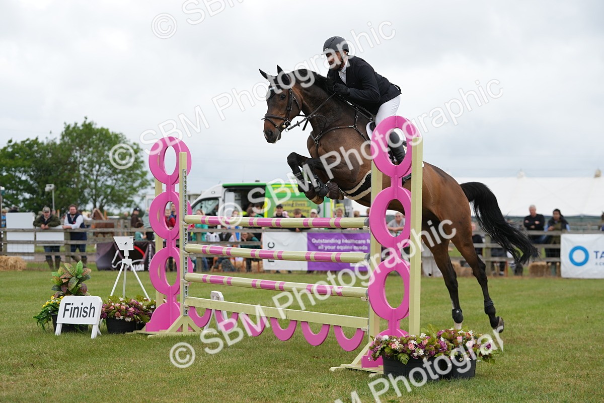 SBM_05149 - Class 201 - British Horse Feeds Speedi Beet Horse of the Year Show Grade  C