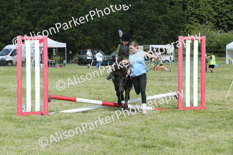20260614-0183 - Class 1 - 30cm Lead Rein